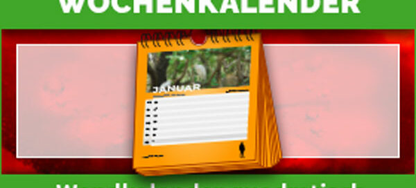 Quadratische Wochenkalender drucken lassen